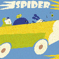 Spider